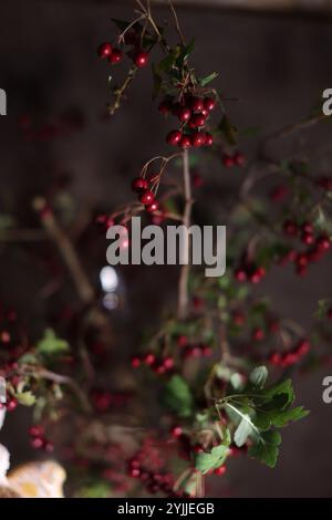 Decorazioni natalizie lavorate a mano, accoglienti e festose, perfette per aggiungere calore agli arredi stagionali. Foto Stock