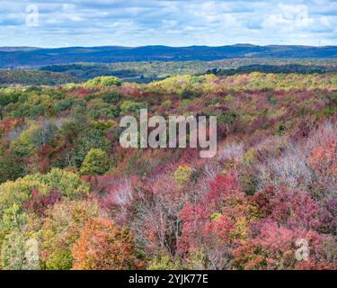 Colori autunnali con vista sulla frana, il sentiero della Valle del Giordano, Alba, Michigan. Foto Stock