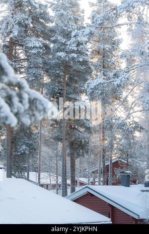 Foresta invernale in Finlandia, cabina di tronchi ricoperta di neve tra gli alberi in Lapponia, Finlandia Foto Stock