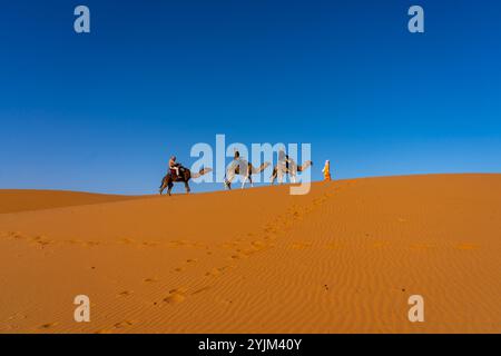 Turisti che vivono la corsa in cammello nel deserto del Sahara in Marocco, Africa. Foto Stock