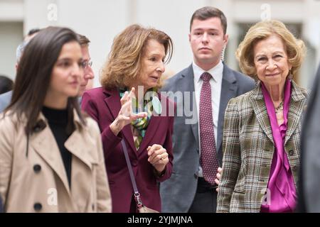 Madrid, Spagna. 15 novembre 2024. L'ex regina Sofia visita "Rastrillo Nuevo futuro" al Palacio de Cibeles il 15 novembre 2024 a Madrid, Spagna. Crediti: Album/Alamy Live News Foto Stock