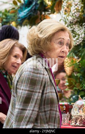 Madrid, Spagna. 15 novembre 2024. L'ex regina Sofia visita "Rastrillo Nuevo futuro" al Palacio de Cibeles il 15 novembre 2024 a Madrid, Spagna. Crediti: Album/Alamy Live News Foto Stock