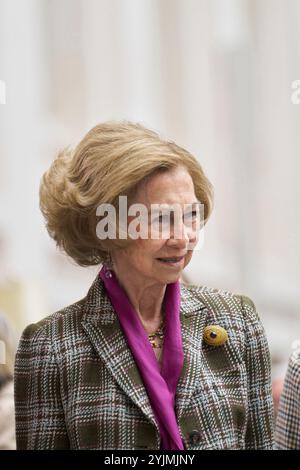 Madrid, Spagna. 15 novembre 2024. L'ex regina Sofia visita "Rastrillo Nuevo futuro" al Palacio de Cibeles il 15 novembre 2024 a Madrid, Spagna. Crediti: Album/Alamy Live News Foto Stock