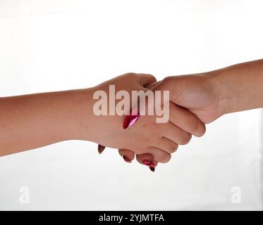 Due business donne stringono le mani Foto Stock