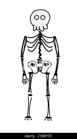 Illustrazione scheletro disegnato a mano. Questa illustrazione presenta uno scheletro semplice e stilizzato con un design giocoso, perfetto per scopi didattici. Illustrazione Vettoriale