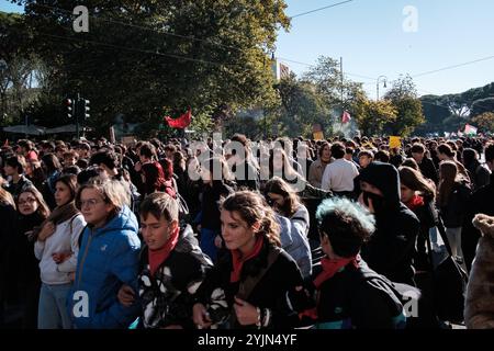 Roma, gli studenti marciano in una manifestazione contro il governo e per chiedere una sospensione della guerra in Palestina. Gli studenti criticano il governo per l'introduzione del disegno di legge 1660 DDL 1660, per le condizioni delle strutture scolastiche e per l'alternanza scuola-lavoro, il 15 novembre 2014 a Roma. Copyright: XAndreaxCalandrax Foto Stock