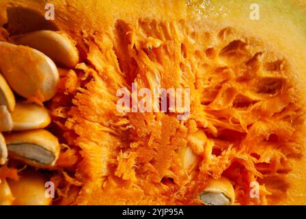 Cattura artistica di una zucca a fette con semi visibili, caratterizzata da ricche tonalità arancioni che si sovrappongono allo sfondo scuro. Foto Stock