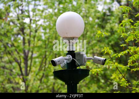 Telecamere di sicurezza all'interno degli alberi montate su una lampada Foto Stock