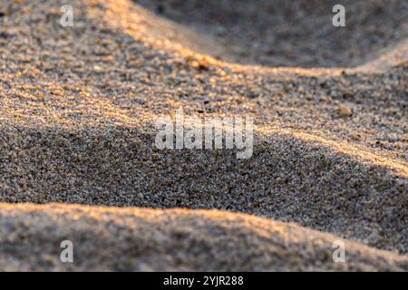 Primo piano della spiaggia di sabbia alla luce del tramonto Foto Stock