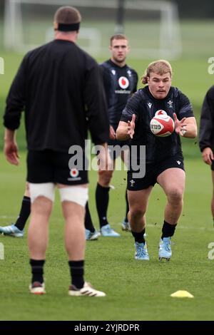 Cardiff, Regno Unito. 15 novembre 2024. Archie Griffin del Galles durante l'allenamento della squadra di rugby gallese, Hensol, vale of Glamorgan, venerdì 15 novembre 2024. La squadra si sta allenando in vista della prossima partita internazionale autunnale contro l'Australia. foto di Andrew Orchard/Alamy Live News Foto Stock