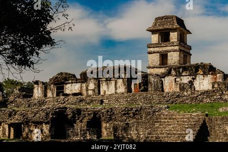Antiche rovine maya di Palenque nel Chiapas, Messico, sito patrimonio dell'umanità dell'UNESCO circondato dalla giungla e dalla storia. Foto Stock