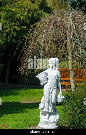 Statua Fagus sylvatica Purpurea Pendula Foto Stock