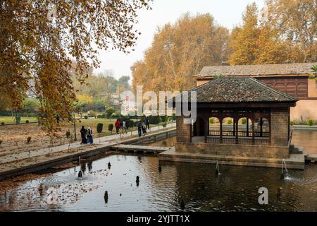 I visitatori possono passeggiare all'interno del giardino moghul in una fredda giornata autunnale. L'autunno nel Kashmir, noto anche come Harud, è una stagione vibrante di cambiamenti quando le foglie dell'albero di stato, il chinar, passano dal verde all'ambra e poi a un rosso ardente. La stagione va in genere da settembre a novembre e le temperature vanno da circa 10 °C a 20 °C. Foto Stock