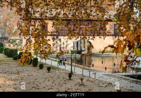 I visitatori possono passeggiare all'interno di un giardino moghul in una fredda giornata autunnale. L'autunno nel Kashmir, noto anche come Harud, è una stagione vibrante di cambiamenti quando le foglie dell'albero di stato, il chinar, passano dal verde all'ambra e poi a un rosso ardente. La stagione va in genere da settembre a novembre e le temperature vanno da circa 10 °C a 20 °C. Foto Stock