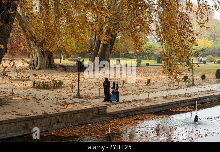 I visitatori possono passeggiare all'interno del giardino moghul in una fredda giornata autunnale. L'autunno nel Kashmir, noto anche come Harud, è una stagione vibrante di cambiamenti quando le foglie dell'albero di stato, il chinar, passano dal verde all'ambra e poi a un rosso ardente. La stagione va in genere da settembre a novembre e le temperature vanno da circa 10 °C a 20 °C. Foto Stock