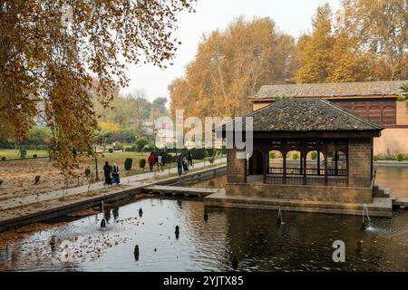 Bijbehara, India. 15 novembre 2024. I visitatori possono passeggiare all'interno del giardino moghul in una fredda giornata autunnale. L'autunno nel Kashmir, noto anche come Harud, è una stagione vibrante di cambiamenti quando le foglie dell'albero di stato, il chinar, passano dal verde all'ambra e poi a un rosso ardente. La stagione va in genere da settembre a novembre e le temperature vanno da circa 10 °C a 20 °C. (Foto di Idrees Abbas/SOPA Images/Sipa USA) credito: SIPA USA/Alamy Live News Foto Stock