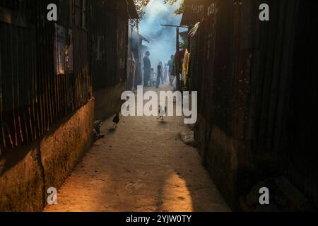 Dacca, Dacca, Bangladesh. 15 novembre 2024. Un lavoratore spruzza pesticidi per uccidere le zanzare in un baraccopoli nella capitale Dacca, Bangladesh. L'anno scorso, il paese ha registrato 1.705 morti legate alla dengue e 321.179 casi di dengue. (Credit Image: © Abu Sufian Jewel/ZUMA Press Wire) SOLO PER USO EDITORIALE! Non per USO commerciale! Crediti: ZUMA Press, Inc./Alamy Live News Foto Stock