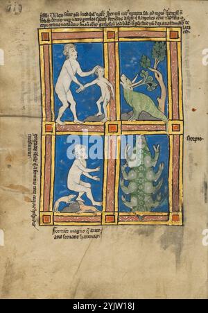 Praesillus; Una donna pelosa dell’isola di Gorgade; uno Scorpione; De natura Avium; De Pastoribus et Ovibus; Bestiarium; Mirabilia Mundi; Philosophia Mundi; sull’anima; creature dalle estremità della Terra, 1277 o dopo. Ulteriori informazioni: Un bestiario è una raccolta di storie su animali, uccelli, pesci, piante e persino pietre, le cui proprietà sono state interpretate come riflessioni dell'ordine divino di Dio. Durante gli anni '1200, la curiosità sul mondo naturale era così diffusa che il bestiario illustrato raggiunse l'apice della sua popolarità. Oltre al testo principale del bestiario, questo manusc Foto Stock