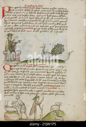 A King Enthroned Speaking to a Peacock: A Shepherd Killing a RAM: A Shepherd with a staff and a Knife before two Goats; Fables: Exemplum de Tribus Latronibus: Defensio Curatorum Adversus Fratres Mendicantes, 1357: De Balsamo (CH. 7 di De Mirabilibus): Homilies on the Gospel of Luke: De septem sacramentis: And other; Illustrated Fables, III quarto del XV secolo. Foto Stock