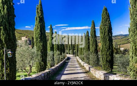 Italia, paesaggio toscano . vicolo con cipressi. tipico paesaggio toscano e decorazioni stradali Foto Stock