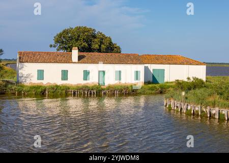 Laguna di Comacchio, Italia - luglio 28 2024: Tradizionale stazione di pesca dell'anguilla Foto Stock