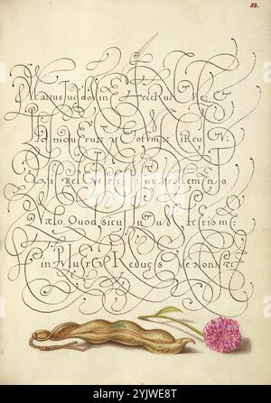 Fagiolo renale e margherita inglese; mira calligraphiae monumenta, 1561-1562; illuminazione aggiunta 1591-1596. Informazioni aggiuntive: Negli anni '1500, quando la stampa divenne il metodo più comune per produrre libri, gli intellettuali apprezzarono sempre più l'inventiva degli scribi e le qualità estetiche della scrittura. Dal 1561 al 1562, Georg Bocskay, segretario di corte dell'imperatore del Sacro Romano Impero Ferdinando i, creò questo Model Book of Calligraphy per dimostrare la sua padronanza tecnica dell'immensa gamma di stili di scrittura a lui noti. L'imperatore Rodolfo II commissionò a Joris Hoefnagel di illuminare il modello di Bocskay Foto Stock