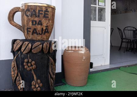 Nascosta nell'affascinante villaggio di Faja dos Vimes, l'isola di Sao Jorge, Azzorre, è l'unica piantagione di caffè d'Europa. Foto Stock