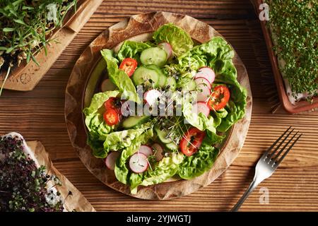 Germogli freschi e microgreen fatti in casa in un'insalata di verdure, vista dall'alto Foto Stock