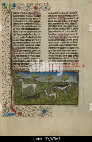 Cani; Livre de la Chasse, circa 1430-1440. Libro medievale sulla caccia. Foto Stock