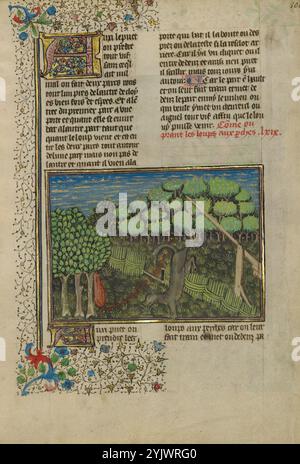 Un lupo catturato in una trappola per piedi; Livre de la Chasse, circa 1430-1440. Libro medievale sulla caccia. Foto Stock