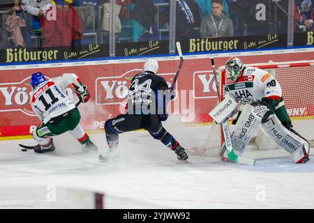 DEL, Deutsche Eishockey Liga Saison 2024/25, 16. Spieltag: Adler Mannheim gegen Augsburger Panther Foto Stock