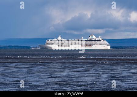 La nave da crociera Crystal Serenity naviga sul mare del fiume San Lorenzo di fronte all'area naturale nazionale di Cap Tourmente con oche da neve. Foto Stock