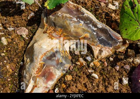 Selce a fantasia dipinte in diversi colori giacenti nel terreno, alla ricerca di belle pietre. Russia Foto Stock