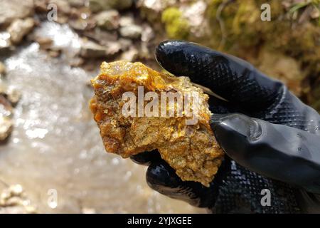 Frammento di calcedonia bruna trovato in un torrente di montagna Foto Stock