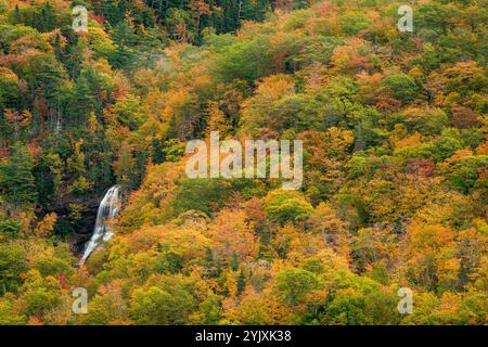 Low Clouds Cape Breton Highlands National Park   Big Intervale Cape North, nuova Scozia, CAN Foto Stock