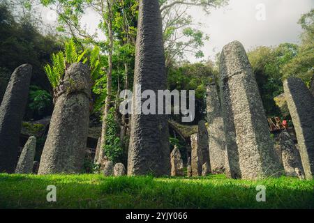 Megaliti o menhir di Tana Toraja. Vecchio sito di sepoltura torajan a Bori, Rantepao, Sulawesi, Indonesia Foto Stock