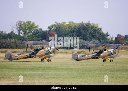Tiger Moth Foto Stock
