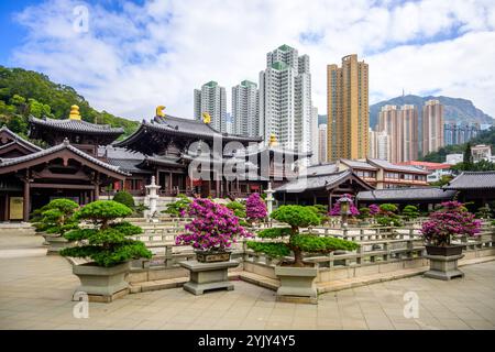 Una vista su un tranquillo giardino del tempio con alberi di bonsai, sentieri in pietra e uno stagno di fronte a un tempio cinese tradizionale con un tetto di pagoda di chi Lin Foto Stock