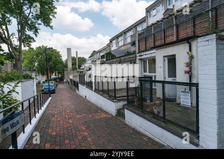 Londra, Regno Unito. 18 giugno 2017. Ted Knight, ex leader del Lambeth Council, parlò a sostegno della campagna per salvare la Central Hill Estate, approvata per la demolizione dal consiglio nonostante il voto quasi unanime dei residenti per i piani di ristrutturazione piuttosto che demolizione e i piani degli Architects for Social Housing che avrebbero favorito l'aumento della densità desiderata senza demolizione. Egli ricordò come sotto l'architetto del borough Ted Hollamby la tenuta fosse stata progettata come una comunità vivente ed ebbe un notevole successo, con un certo numero di residenti originari degli anni '1970 che vivevano ancora lì e volevano farlo Foto Stock