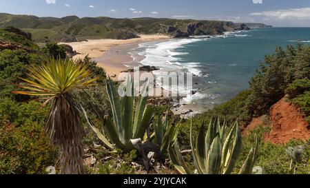 Famoso sentiero escursionistico Rota Vicentina lungo la costa occidentale del Portogallo Foto Stock