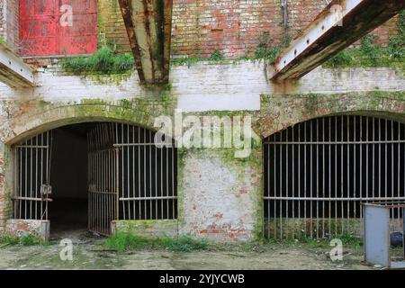 Royal Clarence Yard, Weevil Lane, Gosport, Hampshire, Inghilterra. 17 novembre 2024. La zona si sta gradualmente rigenerando con un mix di imprese e alloggi privati e sociali. Questa foto mostra una vista da una finestra rotta dell'interno del vecchio negozio di rum della Royal Navy, tra cui due aree scure in cui venivano immagazzinati i fusti e travi di ferro che un tempo sostenevano un tetto. Foto Stock