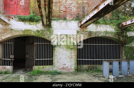 Royal Clarence Yard, Weevil Lane, Gosport, Hampshire, Inghilterra. 17 novembre 2024. La zona si sta gradualmente rigenerando con un mix di imprese e alloggi privati e sociali. Questa foto mostra una vista da una finestra rotta dell'interno del vecchio negozio di rum della Royal Navy, tra cui due aree di stoccaggio recintate, pareti danneggiate e scaffali scartati. Foto Stock