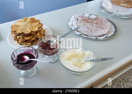 Waffle appena sfornati con marmellata, composta e panna, Mykines, Utoyggjar, Isole Faroe, Danimarca, Europa Foto Stock