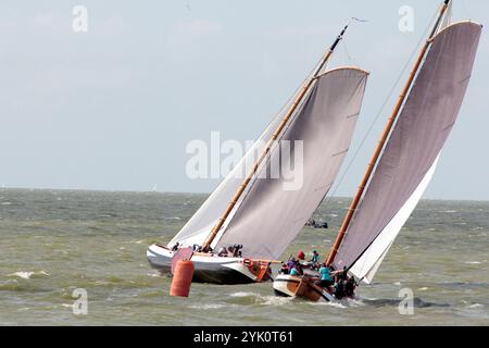 Tradizionali velieri frisoni a fondo piatto in una competizione annuale sull'IJsselmeer, Paesi Bassi Foto Stock