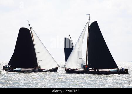 Tradizionali velieri frisoni a fondo piatto in una competizione annuale sull'IJsselmeer, Paesi Bassi Foto Stock