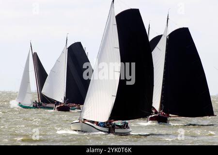 Tradizionali velieri frisoni a fondo piatto in una competizione annuale sull'IJsselmeer, Paesi Bassi Foto Stock