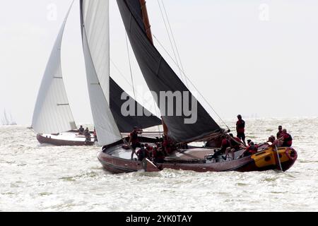 Tradizionali velieri frisoni a fondo piatto in una competizione annuale sull'IJsselmeer, Paesi Bassi Foto Stock