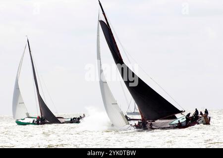 Tradizionali velieri frisoni a fondo piatto in una competizione annuale sull'IJsselmeer, Paesi Bassi Foto Stock