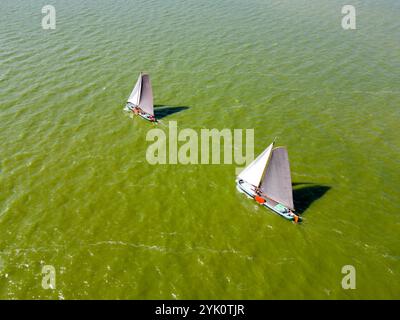 Tradizionali velieri frisoni a fondo piatto in una competizione annuale sull'IJsselmeer, Paesi Bassi Foto Stock