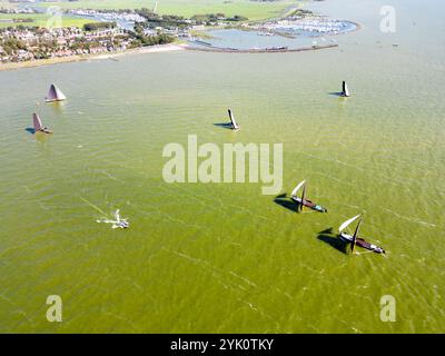 Tradizionali velieri frisoni a fondo piatto in una competizione annuale sull'IJsselmeer, Paesi Bassi Foto Stock